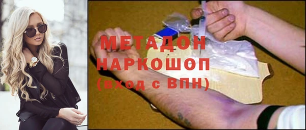 прущие грибы Абинск