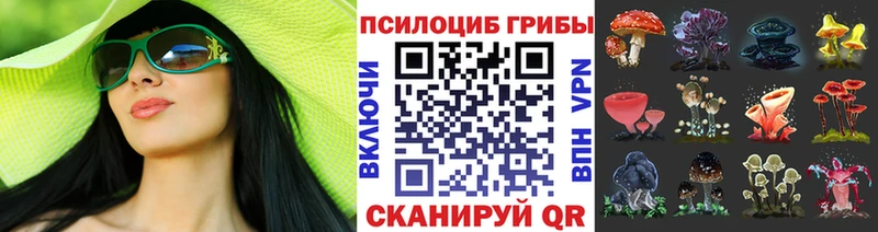 как найти закладки Катайск Псилоцибиновые грибы ЛСД